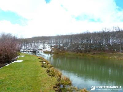 Hayedo Montejo; Reserva Biosfera Sierra Rincón; rutas de senderismo en madrid; senderismo cerca de 